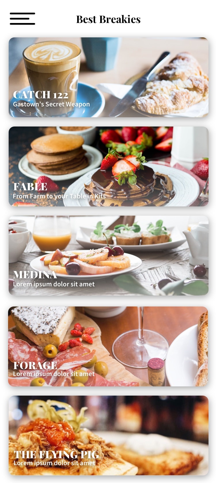 Breakie style guide
